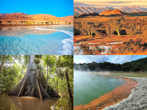 ' Glorified is The All-Mighty Creator '.jpg