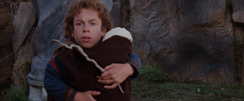 vlcsnap 2026 02 10 20h15m57s238.png