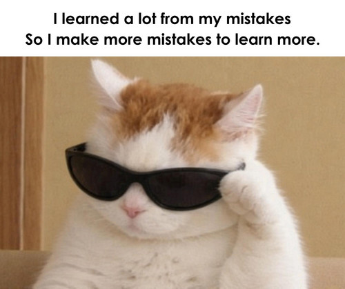 628977271 1446331180408459 8447731765924046959 n.jpg