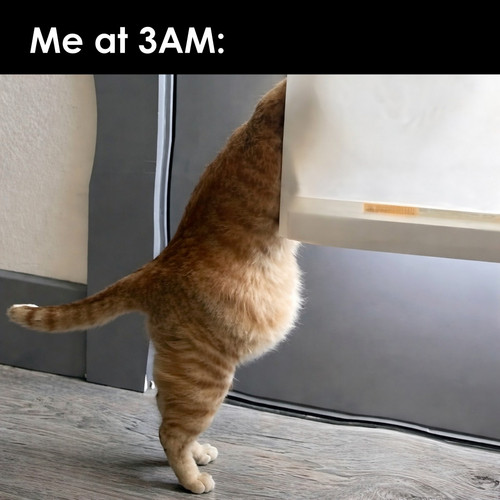 629228579 1445287327179511 3602713488994002231 n.jpg