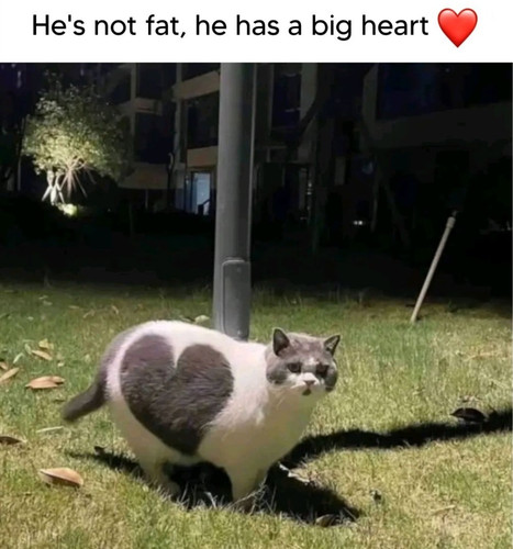 627746939 1344356271063762 898593675593255686 n.jpg