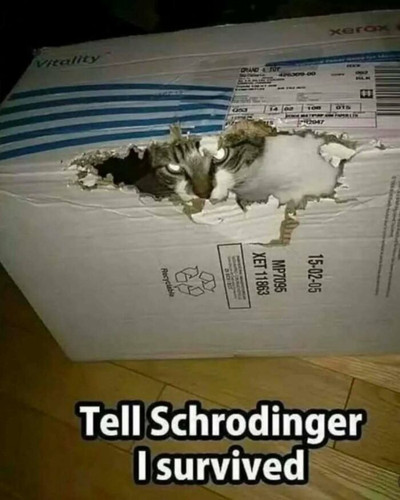 DESlkXLNgmE png 700.jpg