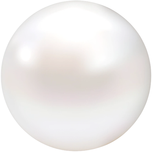 未命名图片 2026.02.11.png
