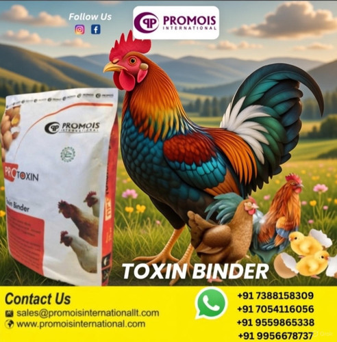 L Lysine Supplier – Promois International Feed Solutions.jpg