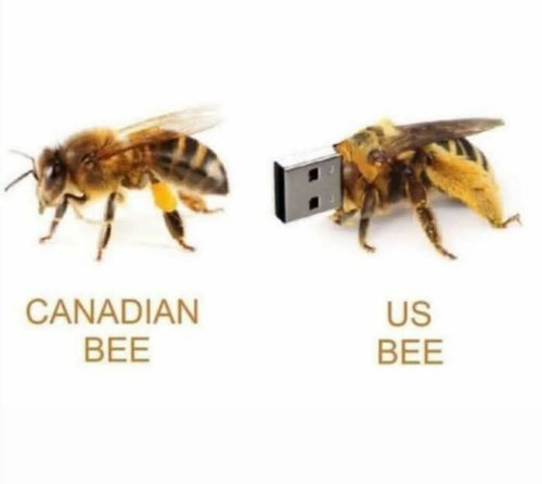 49 6800b1d16fbd3 700.jpg