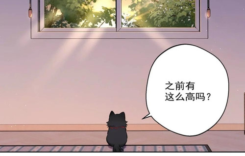 Screenshot 20251203 022124.jpg