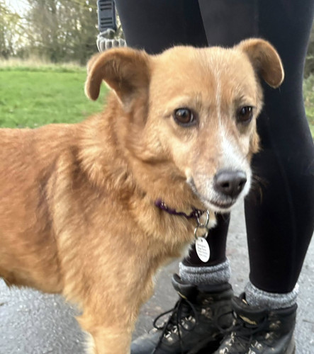 G6x0 GgXoAAYYVk?format=jpg.jpg