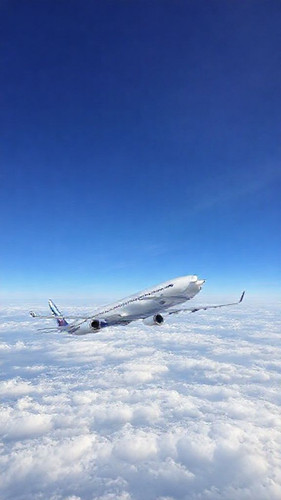 c562e627e017.jpg