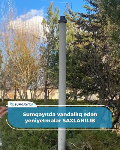 590626903 887908803592427 3232902471803451124 n.jpg?stp=dst jpg s640x640 tt6& nc cat=109&ccb=1 7& nc.jpg