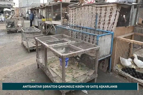 bSmzo67Z19nN Z3kNkrN2Xy07tmyoTCjd2jLOZGirgm5PAfBh9 ikkE25IPN5twiLjYPO2NqmYU5P2kkaI8Qjr2xdouQKvYtwb g.jpg