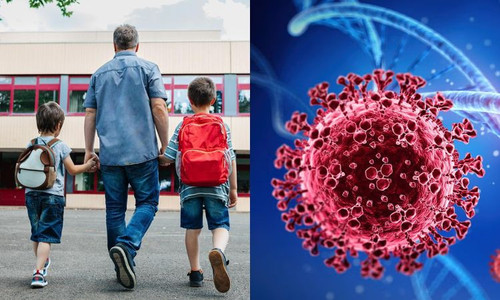 590801077 1296266105875396 8531821606603037866 n.jpg? nc cat=100&ccb=1 7& nc sid=127cfc& nc ohc=Gk7S.jpg