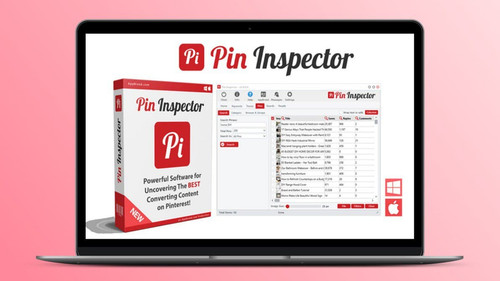 Pin Inspector Lifetime Deal Image.jpg