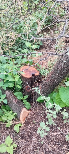 IMG 20251130 WA0352.jpg