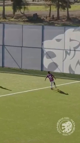 iSjIhYONu17 sPAI.jpg