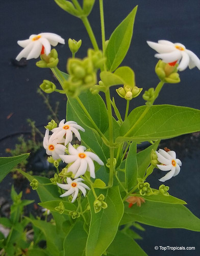 WhatsApp Image 2025 11 27 at 16.47.53 2fdae63e.jpg