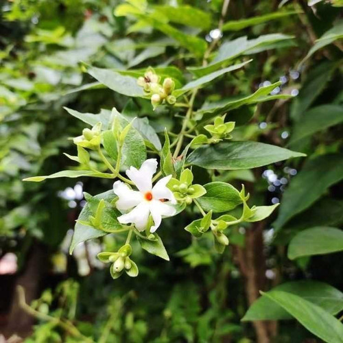 WhatsApp Image 2025 11 27 at 16.47.51 5c7418fd.jpg