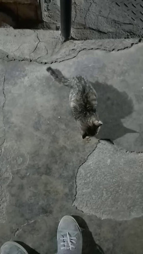 vQRyVToC Qn2GXUa.jpg