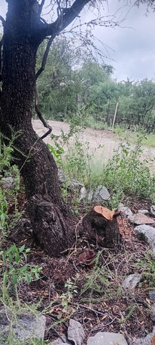 IMG 20251130 WA0347.jpg