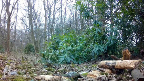 GNkovyiFtSa vCTn.jpg