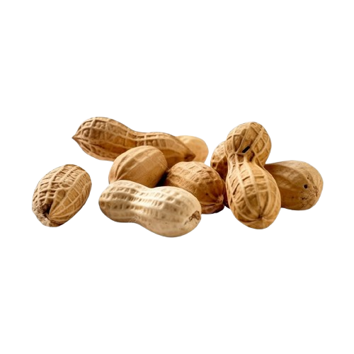 imagem 2025 12 03 095253028 removebg preview.png