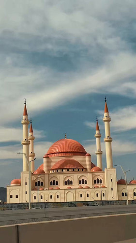 jc2yRQm8TED9m Dv.jpg