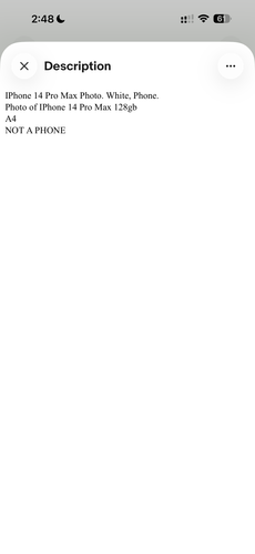 IMG 7013.png