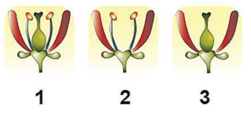 Screenshot (124).png