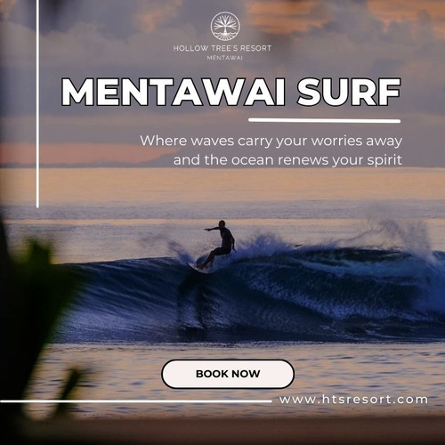 Mentawai Surf.jpg