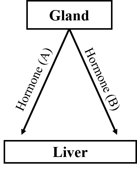 zzzz 17 exam talet.png