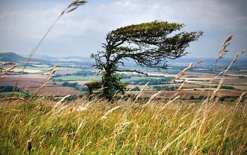 SdufkCx j0v4br7OA0sFYeRkmzNMlcz1WLzZknrQSauLqp3HT6tFOQ4rV9lmRzYV3nZM1QS3 O0 0hFdZOQvHr S0HVKAKgM1S E.jpg