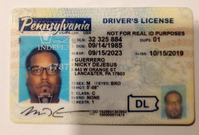 Nicky D Guerrero license image.jpg