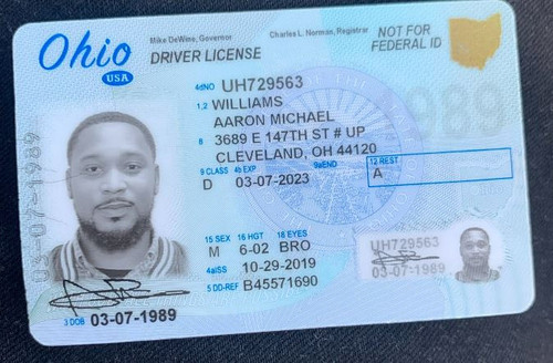Aaron Michael Williams license image.jpg