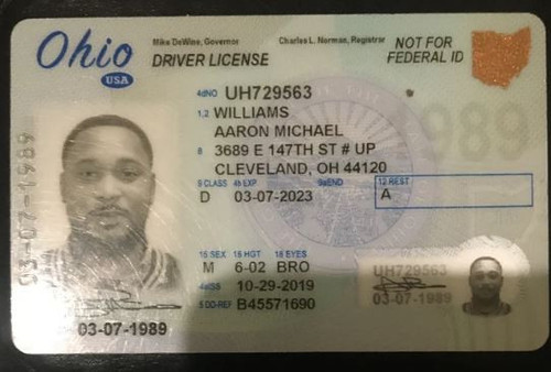 Aaron Williams license image.jpg