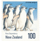 newzealand1.png