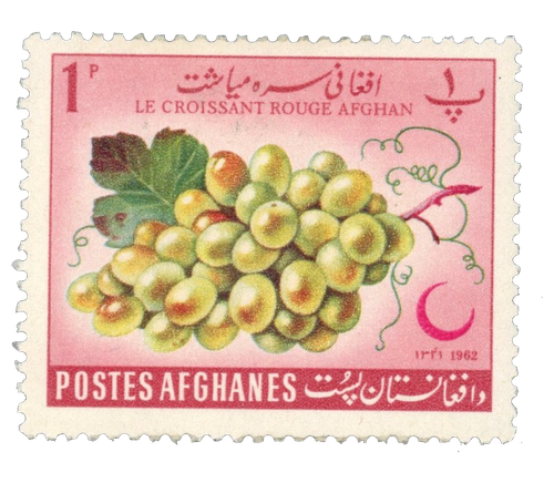 afghanistan 1962.png