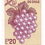 chile 1973.png