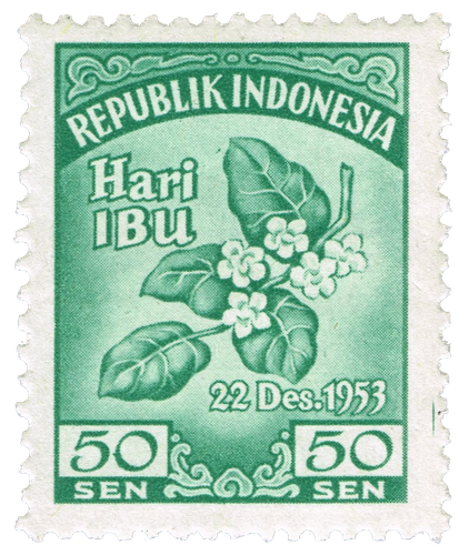 indonesia1.png