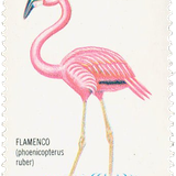 mexico1.png