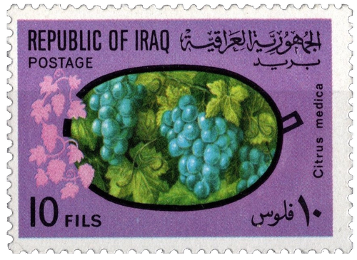 iraq 1970.png