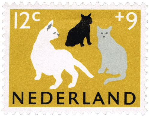 netherlands1.png