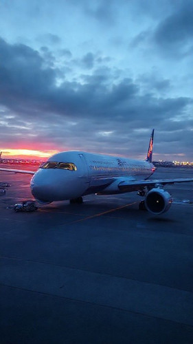 3379f391b4bf.jpg