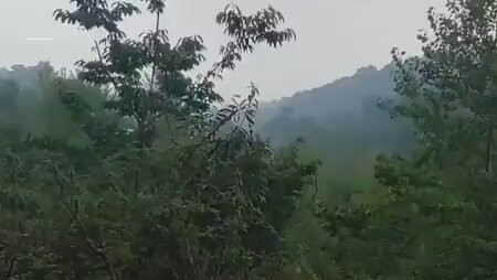 TXde4 Jc3Mr1Zj1W.jpg