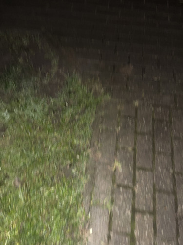 IMG 1356.jpg