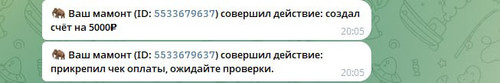 666539eec887.jpg