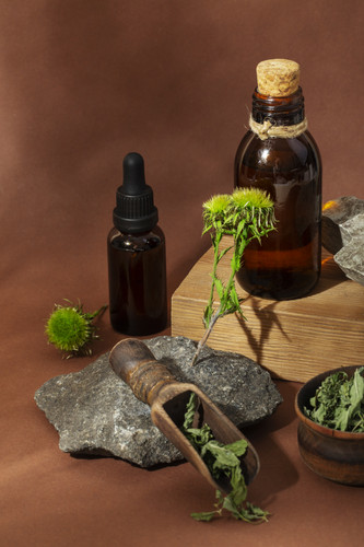herbal medicine with plants assortment high angle (1).jpg