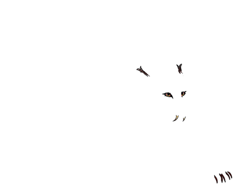 Untitled466 20251202202008.png