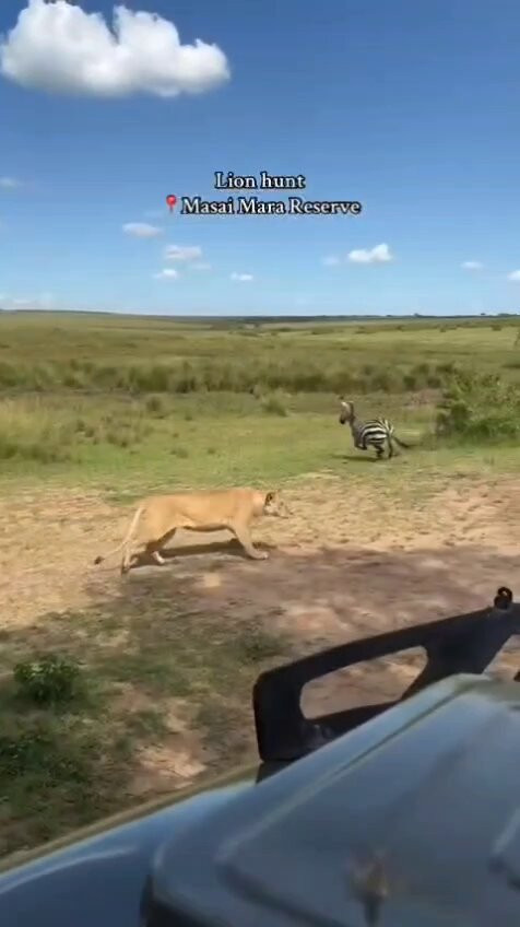 7FVDhqoanL Sj5q .jpg