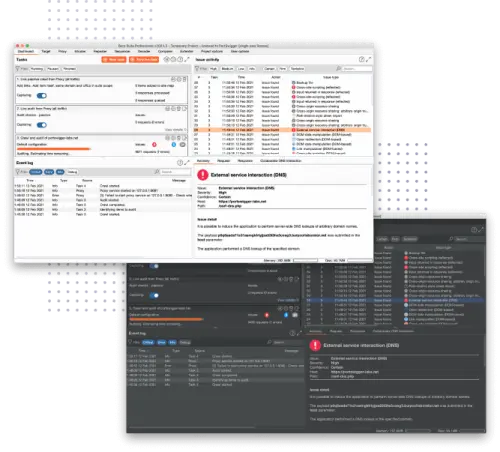 burp suite dashboard screenshots.webp