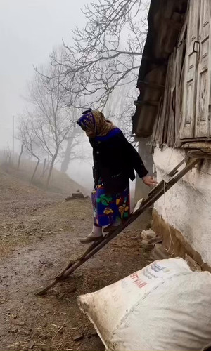 2K1gh68 bl ERfZd.jpg