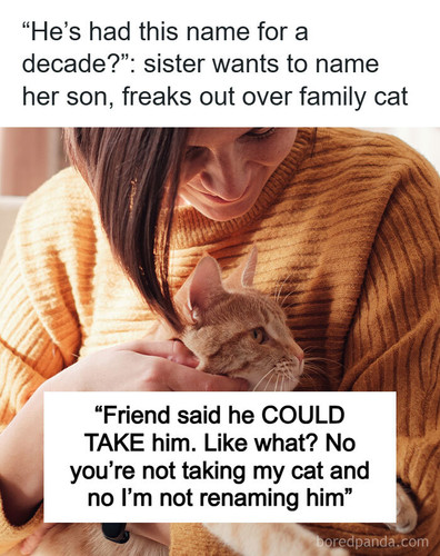 entitled people relationships pet cats.jpg